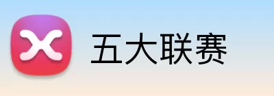五大联赛 Logo